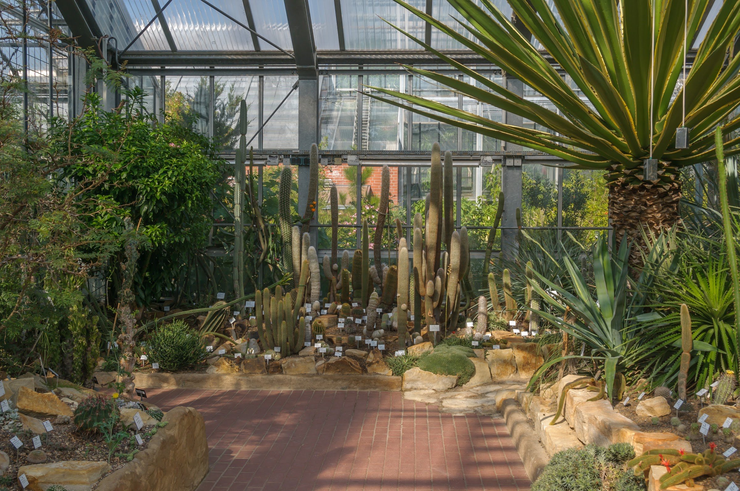 Botanischer Garten (Universität Kiel)